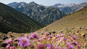 Maybe you would like to learn more about one of these? Escape To The Wallowa Mountains Travel Oregon