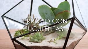 A la hora de saber cómo hacer 7. Diy Como Hacer Un Terrario De Suculentas Youtube