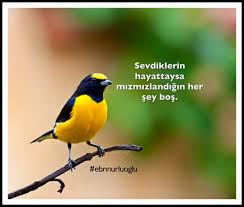 Hayata Gulumse Adli Kullanicinin Guzel Sozler Panosundaki Pin Kus Sozleri Ilham Veren Sozler Guzel Soz