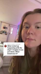 Dog Attack Story: Sadie's Experience with a Boxer Mix