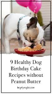 Yes, this is a dog cake recipe. 9 Dog Birthday Cake Recipes Without Peanut Butter Hey Djangles