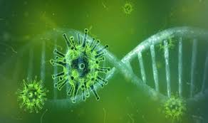 Teorías → Origen Coronavirus: ¿Arma biológica, Tecnología 5G?
