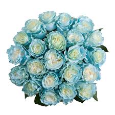 《 flowwow 》 best local flower shops near me ! Painted Light Blue Roses 50 Cm Fresh Cut 50 Stems Walmart Com Walmart Com