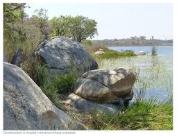 Cleveland Dam Zimbabwe Field Guide In 2020 Dam Zimbabwe Field Guide