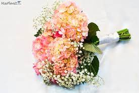The flowers that we recommend using in your diy bridal bouquet and have used in our example here how to keep cut flowers fresh: Diy Vintage Fresh Flower Bridal Bouquet For Under 35