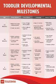 Try our adults height to weight chart. Daily Schedule For Toddlers 18 Months To 3 Years Developmental Milestones Toddlers Toddler Milestones Developmental Milestones