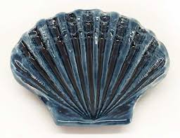 Coquille Saint Jacques Bleu Paon En 2020 Coquille Saint Jacques Saint Jacques Coquille St Jacques