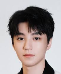 Karry Wang (王俊凯)