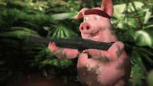 On a tout d'abord dit camarade comme cochon (xvie siècle), puis ami comme cochon (fin xviiie siècle), et enfin copain comme cochon (xixe siècle). Best Cochon Gifs Gfycat
