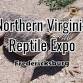 NOVA Reptile Expo event image