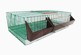 Pui de carne de o zi in toate magazinele agroland! CuÈcÄ De CreÈtere Transport Pentru Pui De O Zi 46x90x25 Cm