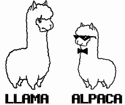 Free, printable mandala coloring pages for adults in every design you can imagine. The Llama Llama Colouring Pages To Print