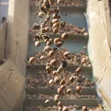 Oui, bien sûr, vous pouvez sélectionner votre location saisonnière avec piscine parmi les 301 locations de vacances avec piscine disponibles autour de la maison de la noisette. La Maison De La Noisette Ferme Attitude