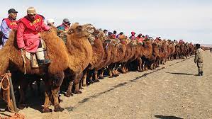 Map of houghton lake, mi. Video Thousands Take Part In Largest Camel Race As Part Of Initiative To Increase Animal S Population In Mongolia Guinness World Records