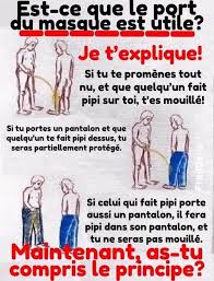 Port de la burqa et du masque sanitaire, même combat ? Facebook