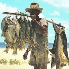 Sekitar 1,3 juta merupakan kapal yang memiliki geladak. Macam Macam Alat Penangkap Ikan Modern Blog Agromaret