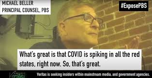 Veritastips@protonmail.com | follow us on telegram!. Pbs Distances Itself From Former Staff Attorney Ensnared In Project Veritas Sting Current