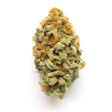 With its earthy tones enriched by a grape and berry scent, this is a great evening strain that could provide a calming sedation. Gmo Cookies Aka Garlic Cookies Gmo Garlic Cookies Weed Strain Information Leafly