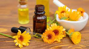 Dintre cele mai importante beneficii ale galbenelelor enumeram Ceai De Galbenele Beneficii Si Prepararea De Creme Si Tincturi