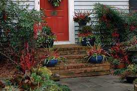 Check spelling or type a new query. The Best Winter Containers From Outdoor Planters To Window Boxes Finegardening