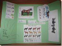 Check spelling or type a new query. 18 Referat Pferde Ideen Referat Pferde Lapbook Vorlagen