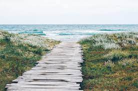 Find the information you need to know before your next trip! 6 Of The Best Outer Banks Beaches To See This Summer Shoreline Obx