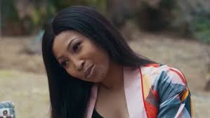 Home Wrecker cast: who's who in the Netflix thriller