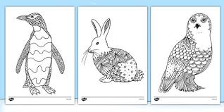 Maybe you would like to learn more about one of these? Animal Colouring Pages Twinkl Coloring And Drawing