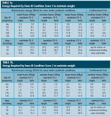 Lifetime Wool More Lambs Better Wool Healthy Ewes Feed