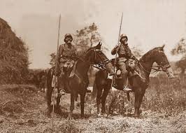 See more ideas about world war, world war i, gas mask. Plausiblity Of Horse Gas Masks Alternatehistory Com