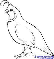 You might also be interested in. Pin On Birds