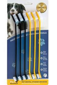 Start searching for petting sitting near you and review pet sitter profiles for free on care.com. 13 Dog Dental Care Products How To Brush Dogs Teeth 2019 The Strategist