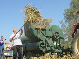 Zadruga Agronova: Naš pasulj je veoma kvalitetan i interesantan za  restorane