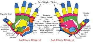 Eski Bir Japon Sifa Teknigine Gore Her Parmagimiz 2 Organa Bagli Tetik Noktalari Solar Plexus Nokta