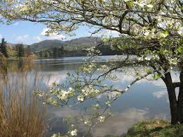 Asheville, north carolina's vacation rental company for your biltmore village, blue ridge and smoky mountain vacation cabin rentals. The 10 Closest Vacation Rentals To Coquina Beach North Carolina On Tripadvisor