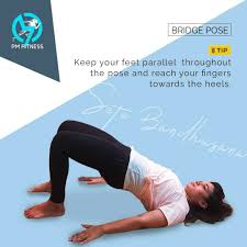 Yoga Pose Bridge Pose In 2020 Bridge Pose Poses Abdominal