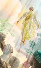 Jesus Was The First Man Ever Resurrected To Heaven Some Were Resurrected To Earth Before That But Later Died Jesus Opened Ascension Of Jesus Jesus Jesus Art