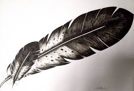 Eagle Feathers Drawing By Priscilla Lopez Eagle Feather Tattoos Feather Drawing Eagle Feathers