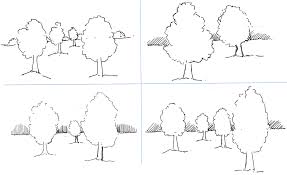 Simple outline drawing tree cartoon free peach public drawing. Drawing Outline Of Trees And Landscapes With Trees Pen And Ink Drawings By Rahul Jain