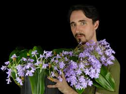 Image result for Habenaria