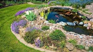 Teich Anlegen Mit Wanne In 2020 Gartenteich Aussenteiche Teich Anlegen