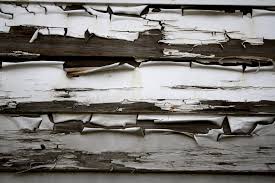 We did not find results for: Wood Siding With Peeling Paint Texture Picture Free Photograph Photos Public Domain