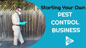 Recommend pest control methods or pesticides that are available in your area. Starting Your Own Pest Control Business Episode 38b Youtube