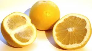 Image result for Citrus × aurantium