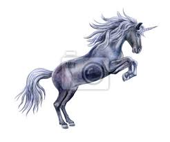 schwarzes pferd ist ein einhorn das auf weissem hintergrund lokalisiert leinwandbilder bilder schnelles pferd einhorn gehornte myloview de