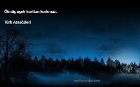 Olmus Esek Kurttan Korkmaz Turk Atasozleri