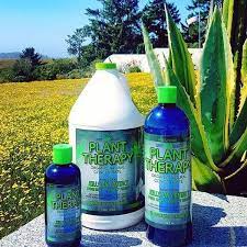 Plant Therapy Plant Therapy Organic Plants Natural Bug Repellent