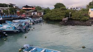 ¡Alerta Tsunami! ¿Peligro en Galápagos? Evacúan las Islas URGENTE - Imagen principal del artículo