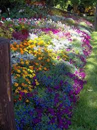 45 Best Garden Bed Borders Ideas For Vegetable And Flower Gardens Beautiful Gardens Garden Inspiration Plants