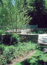 Starofservice starofservice services near me home landscape design near me. Landscape Architects Near Me Steven Kroll